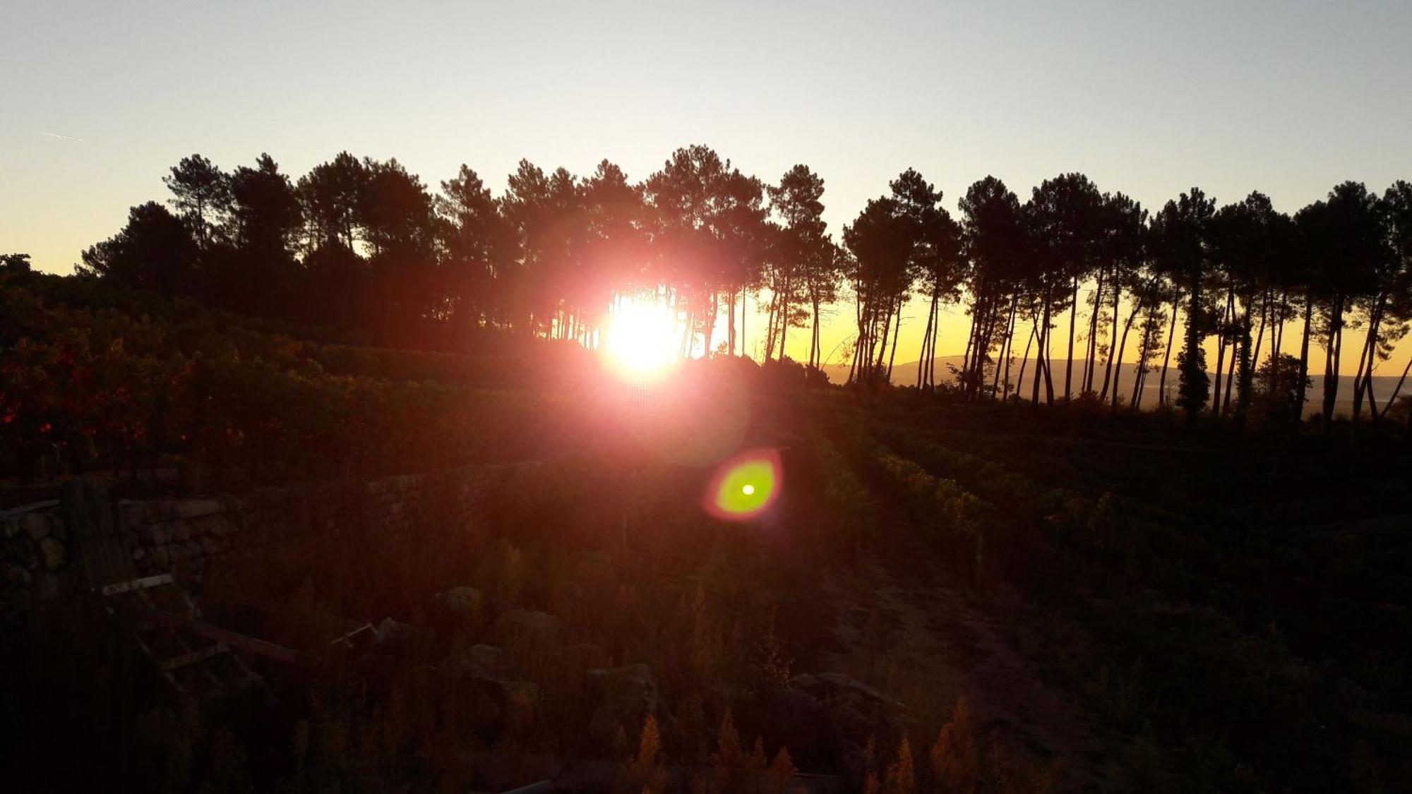 Domaine Des Hauts De Vernon Vernon  Eksteriør billede