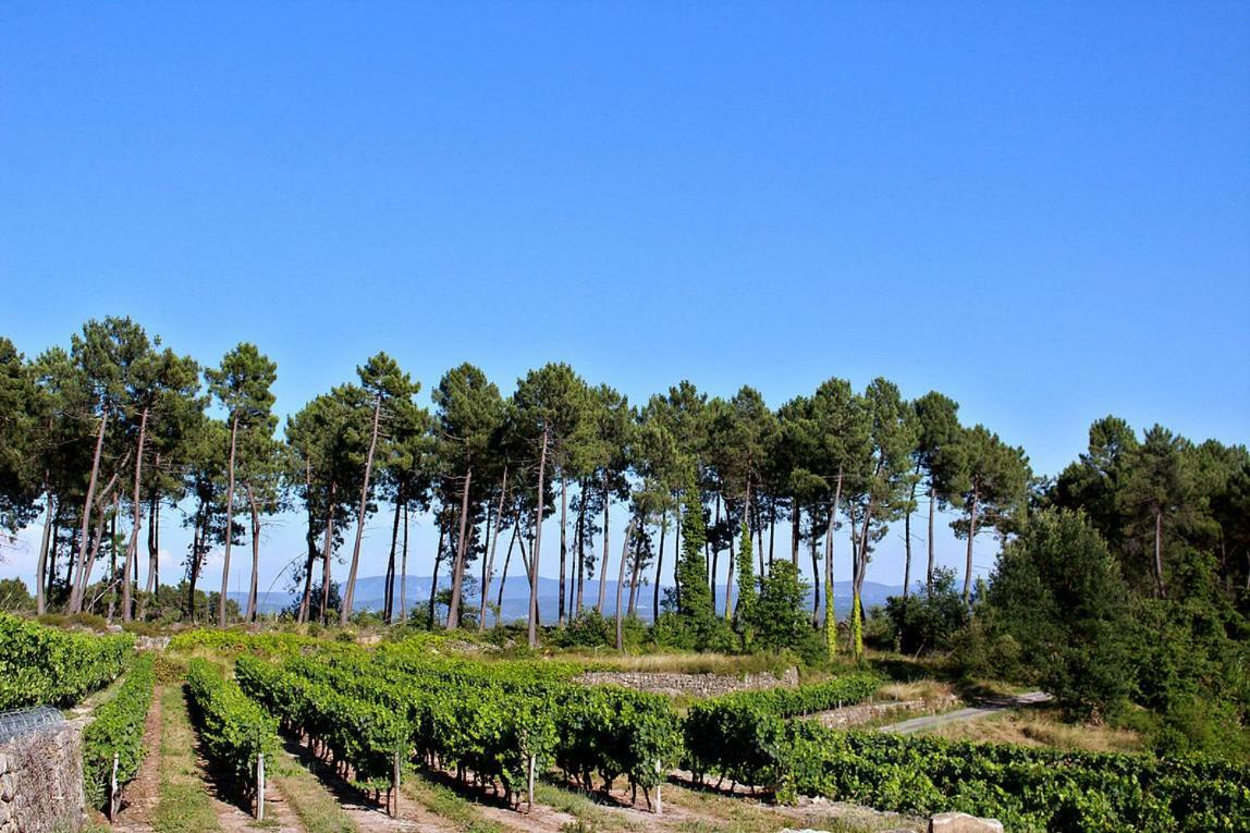 Domaine Des Hauts De Vernon Vernon  Eksteriør billede